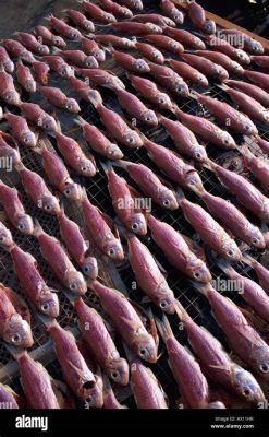 香港哪裏賣魚油？魚油在港島、新界與離島都有售，不同商家提供不同規格及價格的產品。